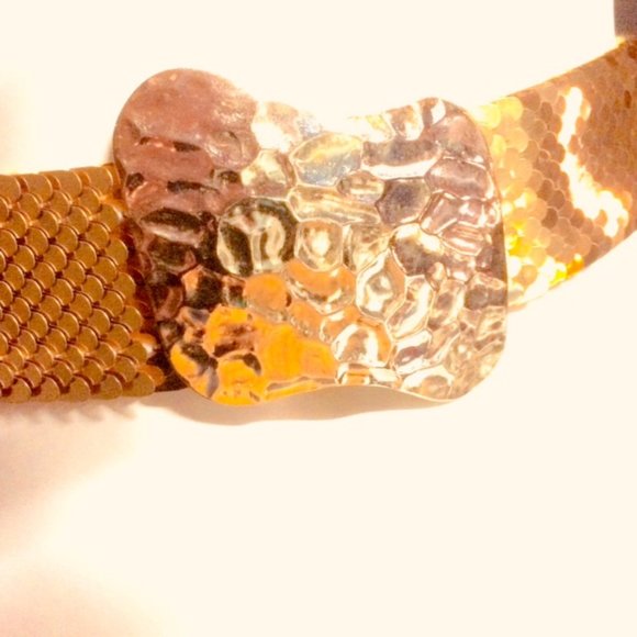 Vintage New Old Stock Fish Scale Cinch Belt main image 5